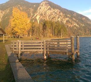 Plansee