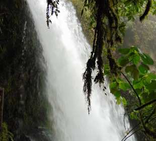 La Paz Waterfall Gardens