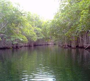 Black River