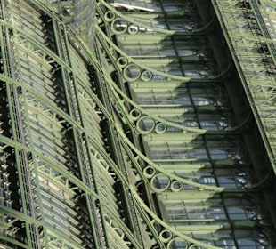 Palmenhaus im Detail