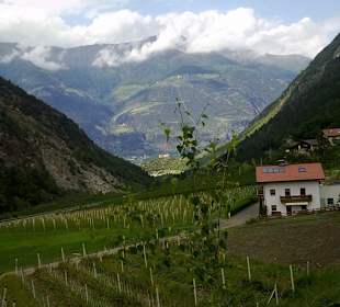 Blick vom Martelltal Richtung Goldrain