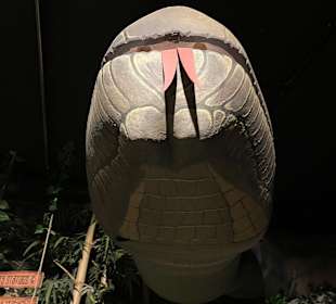 Museum Ripley's Believe It or Not!