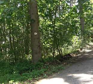 Premiumspazierweg Früchtetrauf-Leisawegle