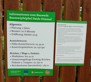 Entstehung