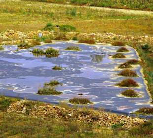 Das Oberbecken Happurger Stausee