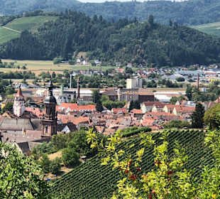 Wandern Gengenbach