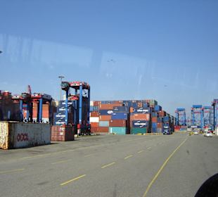 Hamburg - Auge in Auge mit den Giganten