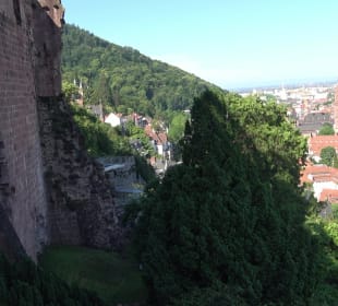 Schloss Heidelberg