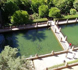 Alkazar