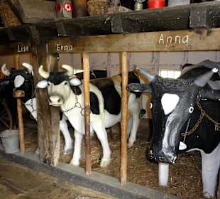 Kühe in der Diele des Moorhofes