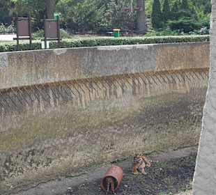 Zoo Warszawa