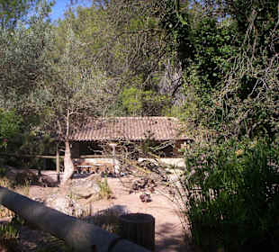 Galatzo park
