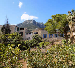Hinterhof in Soller, März 2017