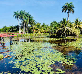 Stadtrundgang Varadero