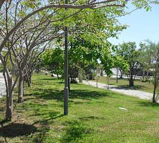 Sehr viel grün vor dem Strand
