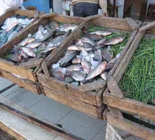 Frischer Fisch auf dem Markt