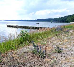 InselTours Usedom