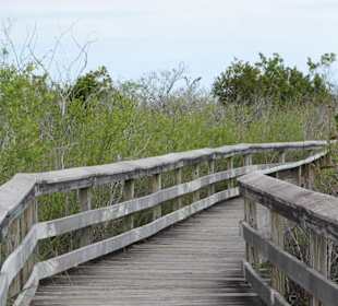 Everglades National Park: Anhinga Trail