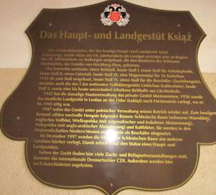 Schloss Fürstenstein ( Ksiaz ) Staatliches Gestüt