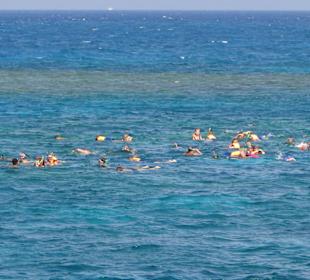 Schnorchler ohne Ende