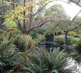 Der Beacon Hill Park ist ganz in der Nähe