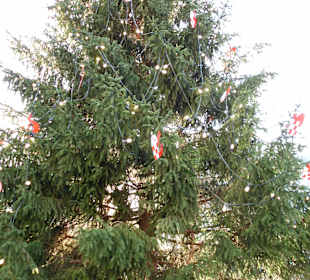 Tannenbaum