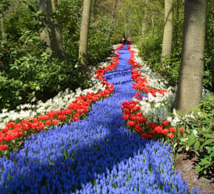 Keukenhof, Lisse, NL