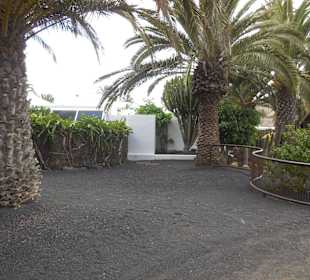 Museo Cesar Manrique