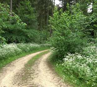 Burg Tiefental Aichstetten