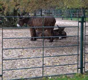 Tierpark 
