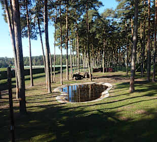 Serengeti Park