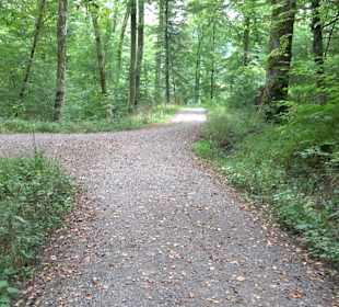 Altwege Rundwanderung Bebenhausen