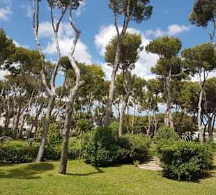 Eingang zum Naturschutzgebiet.