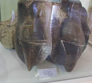 Eksponat w muzeum w Persepolis