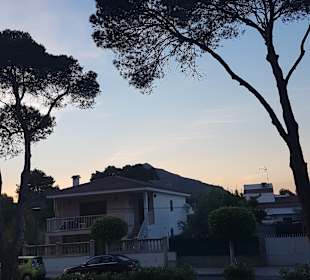 Strand Playa/Platja de Muro