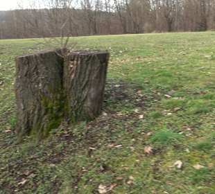 Spielplatz am Wald Kirchentellinsfurt