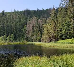 Rundwanderweg Baiersbronn