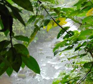 La Paz Waterfall Gardens