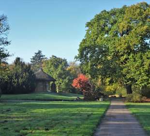 Herbstspaziergang durch den Schlosspark Lütetsburg