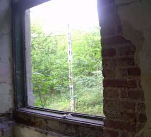 Zakład dla Nerwowo i Psychicznie Chorych Żydów Zofiówka