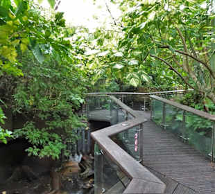 Impressionen aus dem Aquazoo Löbbecke Museum