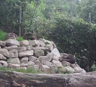 Impressionen aus dem Zoo Karlsruhe