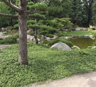 Japanischer Garten