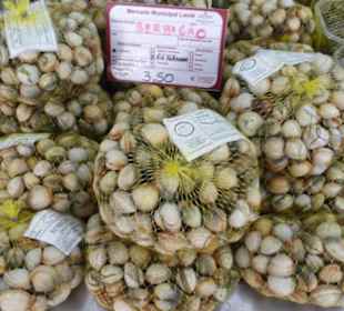 Marktbesuch in Loulé