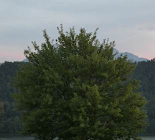 Blick zum Badesee Lago di Levico