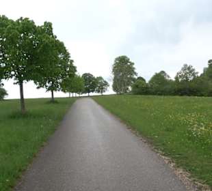 Berg Kornbühl Salmendingen