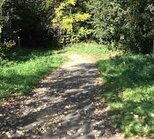 Baumlehrpfad Zollertal