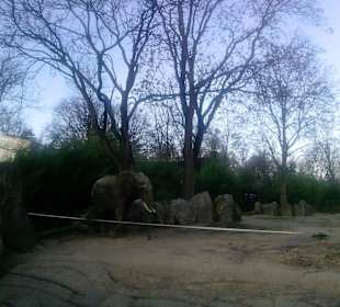 Mal etwas mehr Platz