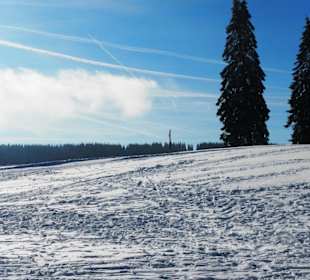 Feldberg