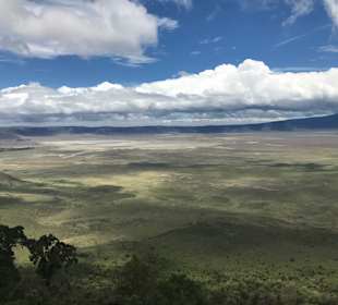 Ngorongoro